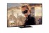 Panasonic TX-65FZ800E