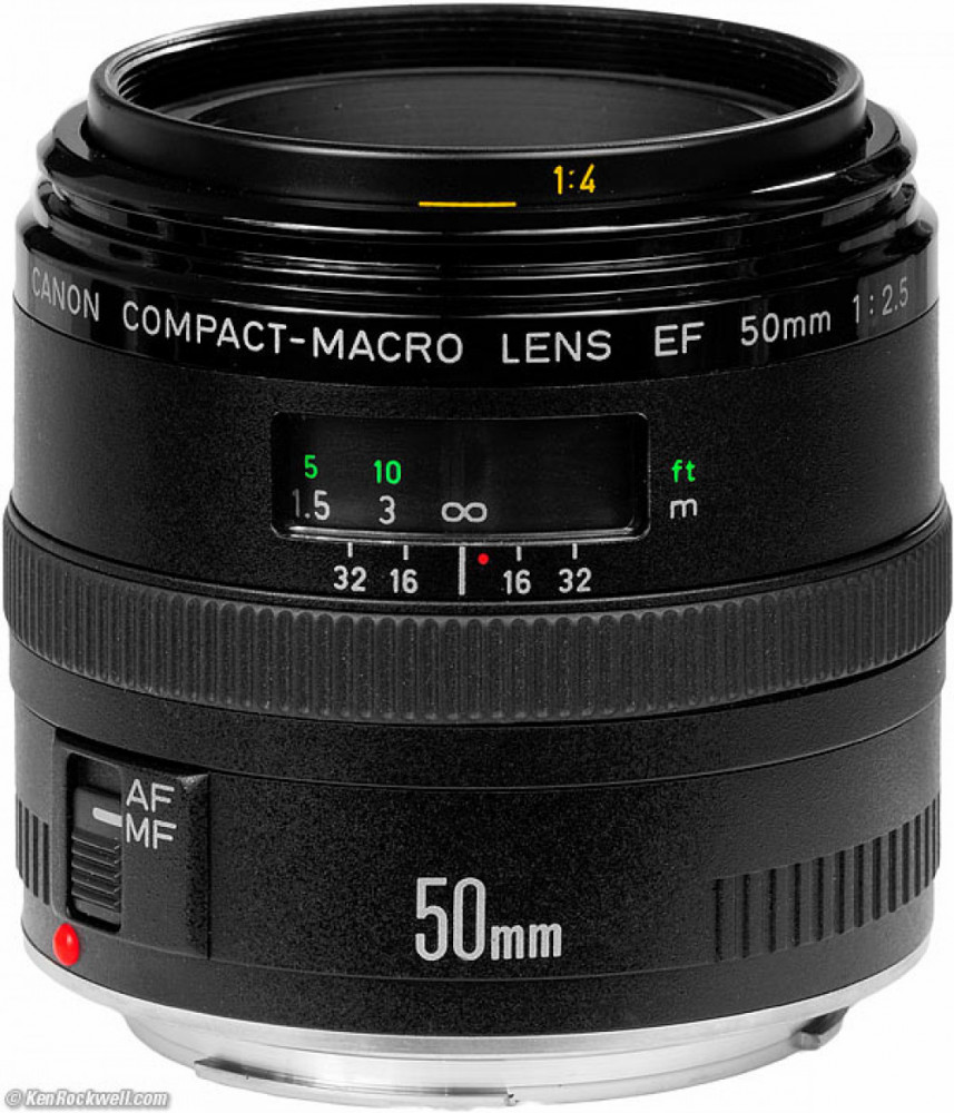 Canon EF 50mm f/2.5 Compact Macro Lens Kameraobjektiv hos Hallbacks.se